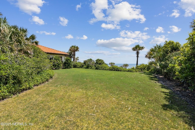1185 Ponte Vedra Blvd, Ponte Vedra Beach, FL 32082 - view of green lawn