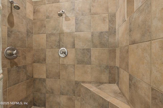 312 Bartram Trl, Saint Johns, FL 32259 - detailed view of a tile shower