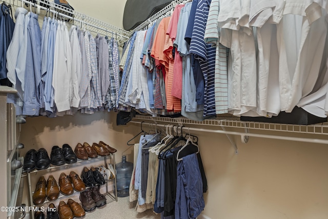 312 Bartram Trl, Saint Johns, FL 32259 - view of spacious closet