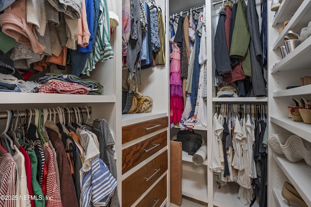 312 Bartram Trl, Saint Johns, FL 32259 - view of walk in closet