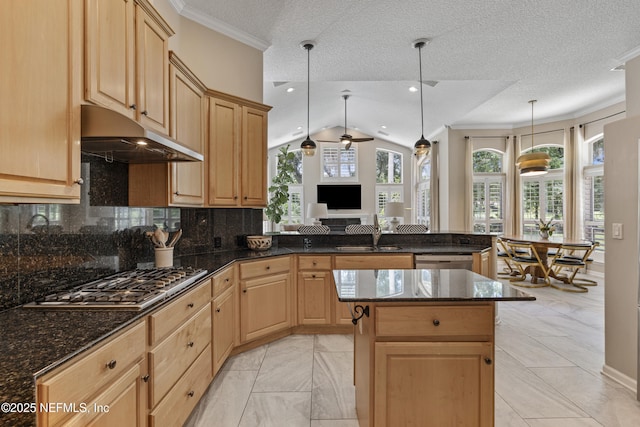 312 Bartram Trl, Saint Johns, FL 32259 - kitchen with appliances with stainless steel finishes, a peninsula, under cabinet range hood, light brown cabinetry, and crown molding
