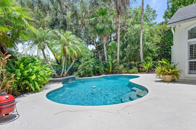312 Bartram Trl, Saint Johns, FL 32259 - view of swimming pool with a patio area and view of scattered trees