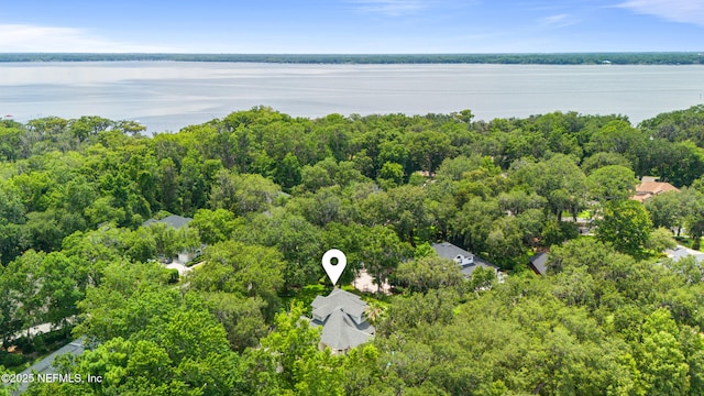 312 Bartram Trl, Saint Johns, FL 32259 - drone / aerial view of a large body of water and a forest