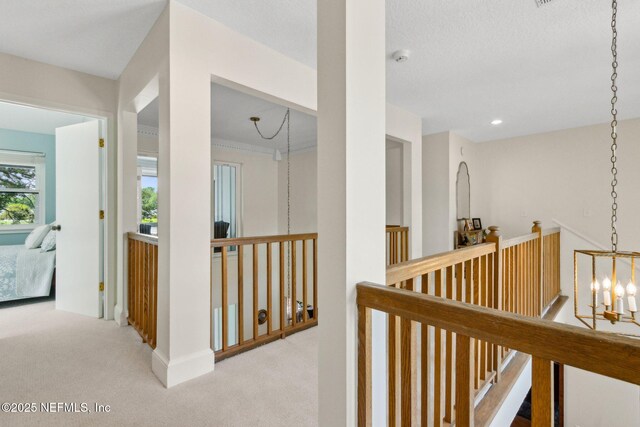 5114 Imperial Cove Rd, Jacksonville, FL 32210 - photo 24