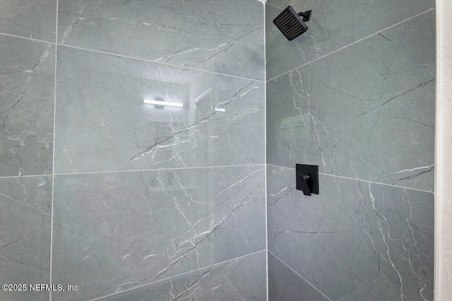 8940 Monroe Ave, Jacksonville, FL 32208 - bathroom view of tiled shower