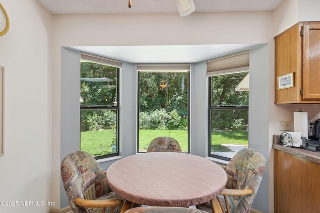 835 Fountain Dr, Fernandina Beach, FL 32034 - dining room with healthy amount of natural light and ceiling fan