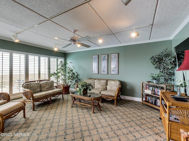 3350 S Fletcher Ave Unit C5, Fernandina Beach, FL 32034 - living area featuring track lighting, ceiling fan, ornamental molding, carpet, and a textured ceiling