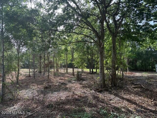 8845 Reid Packing House Rd, Hastings, FL 32145