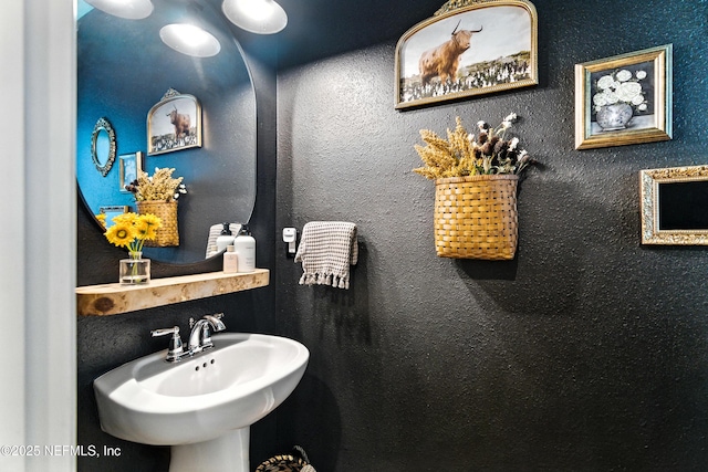 133 Wambaw Dr, Saint Johns, FL 32259 - bathroom featuring a sink