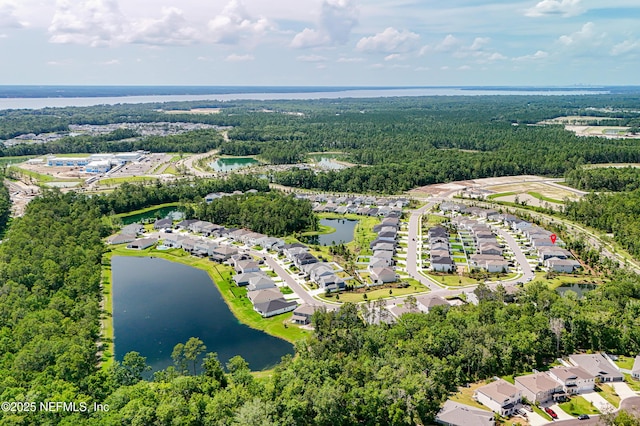 133 Wambaw Dr, Saint Johns, FL 32259 - aerial perspective of suburban area with a large body of water and a heavily wooded area