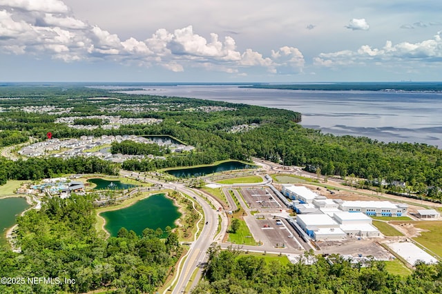 133 Wambaw Dr, Saint Johns, FL 32259 - aerial view of a nearby body of water