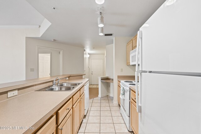 410 Villa San Marco Dr Unit 106, Saint Augustine, FL 32086 - photo 8