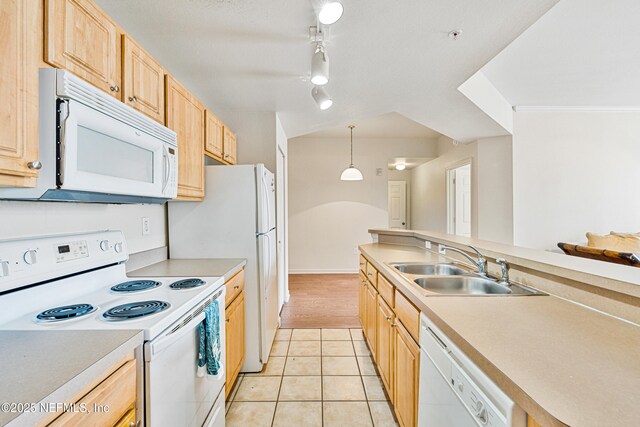 410 Villa San Marco Dr Unit 203, Saint Augustine, FL 32086 - photo 7
