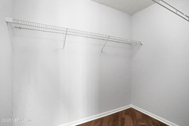 12350 Shaky Leaf Ct, Jacksonville, FL 32224 - photo 17