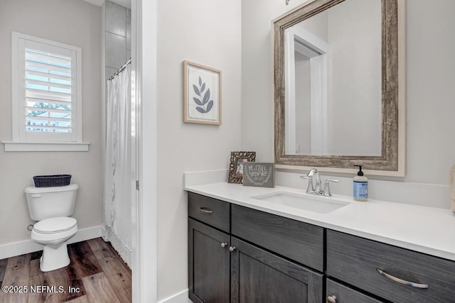246 Glenneyre Cir, Saint Augustine, FL 32092 - bathroom with vanity, wood finished floors, and a shower with curtain