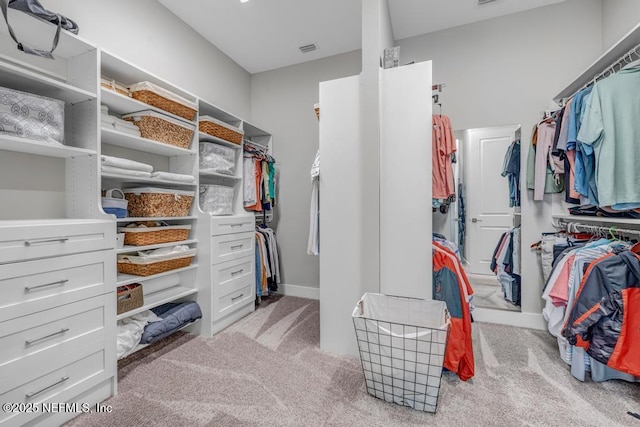 246 Glenneyre Cir, Saint Augustine, FL 32092 - walk in closet featuring carpet