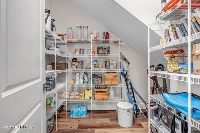 246 Glenneyre Cir, Saint Augustine, FL 32092 - view of pantry