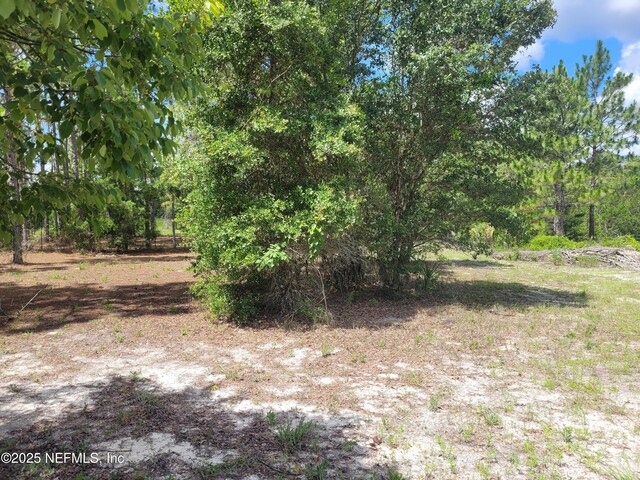 215 Coconut St, Pomona Park, FL 32181