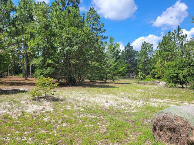 215 Coconut St, Pomona Park, FL 32181