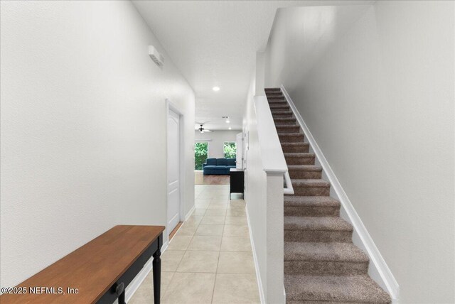10560 Madrone Cove Ct, Jacksonville, FL 32218 - photo 5