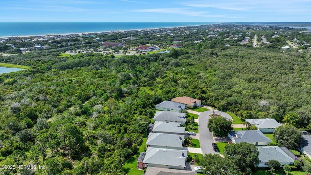 644 Casa Fuerta Ln, Saint Augustine, FL 32080 - aerial view of residential area with a heavily wooded area and a large body of water