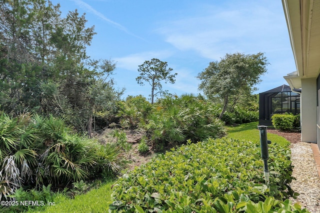 644 Casa Fuerta Ln, Saint Augustine, FL 32080 - view of yard with a lanai