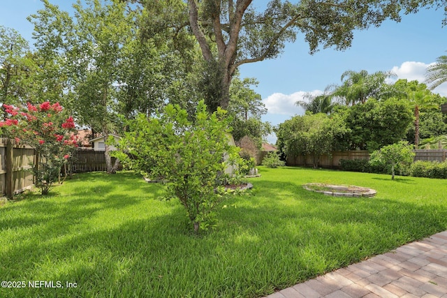 1835 Harbor Island Dr, Fleming Island, FL 32003 - view of fenced backyard