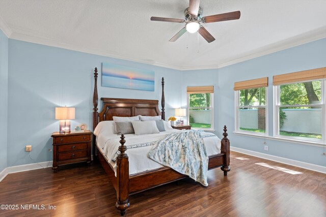 11717 Crusselle Dr, Jacksonville, FL 32223 - photo 22