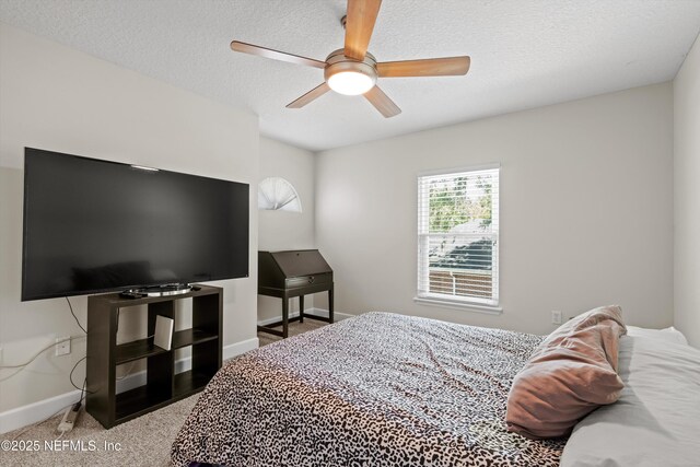 11717 Crusselle Dr, Jacksonville, FL 32223 - photo 27