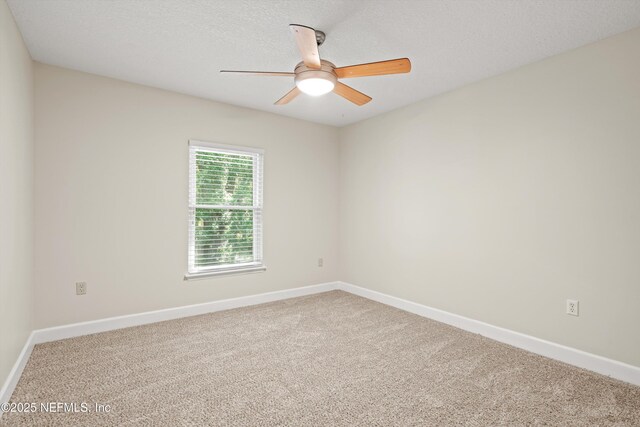 11717 Crusselle Dr, Jacksonville, FL 32223 - photo 30