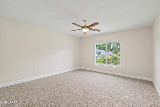 11717 Crusselle Dr, Jacksonville, FL 32223 - photo 32