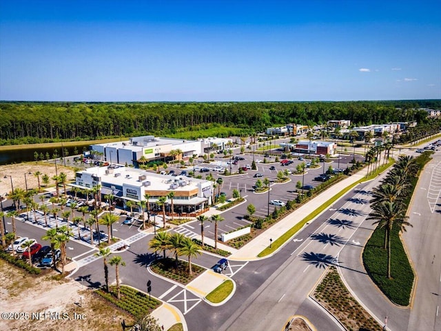 141 Mediterra Ave, Ponte Vedra, FL 32081 - aerial view of a forest