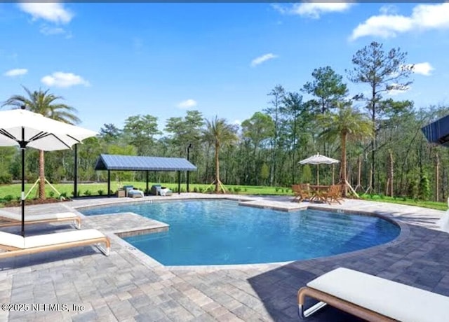 155 Gourd Island Way, Saint Johns, FL 32259 - outdoor pool with a patio