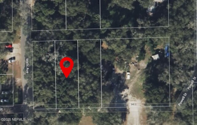 0 Powell St, Palatka, FL 32177 - photo 3
