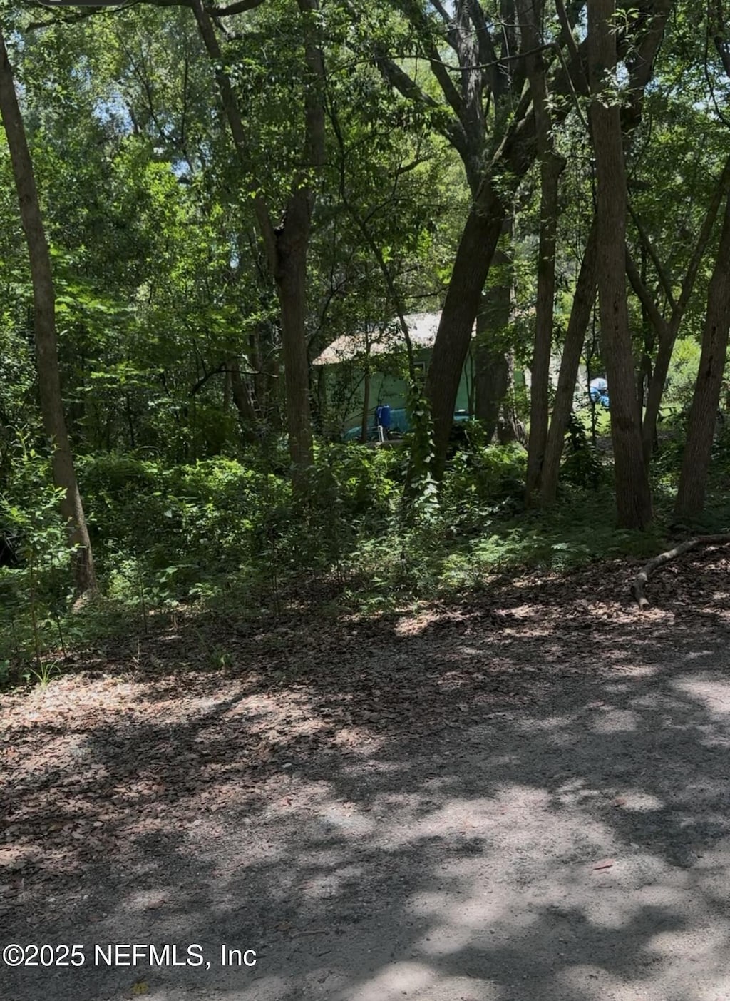 0 Powell St, Palatka, FL 32177 - photo 1