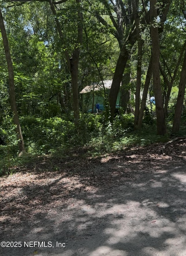 0 Powell St, Palatka, FL 32177 - photo 1