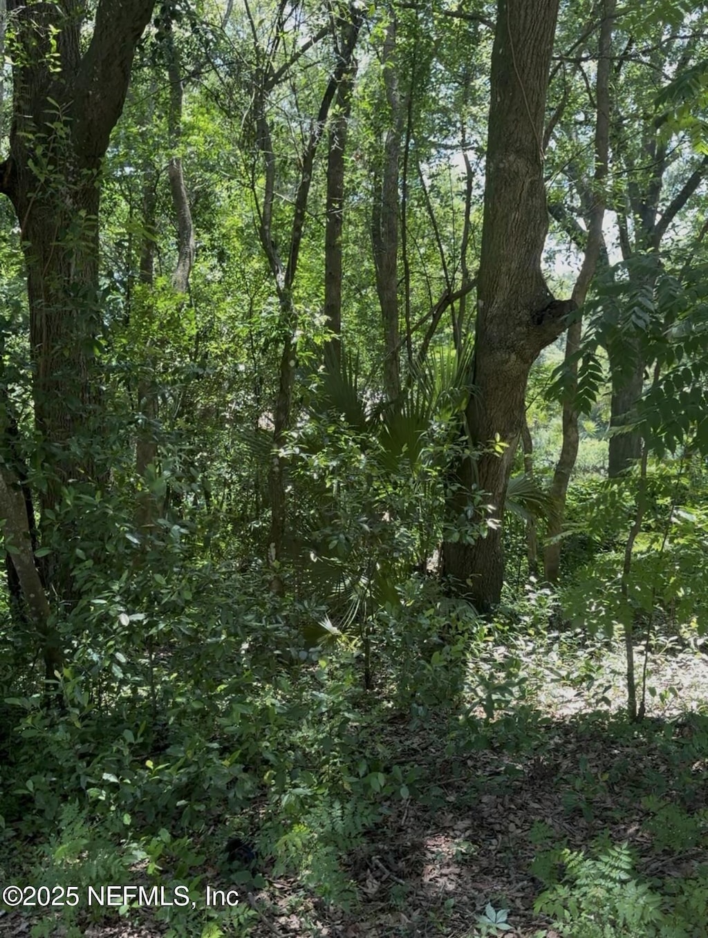 0 Powell St, Palatka, FL 32177 - photo 2