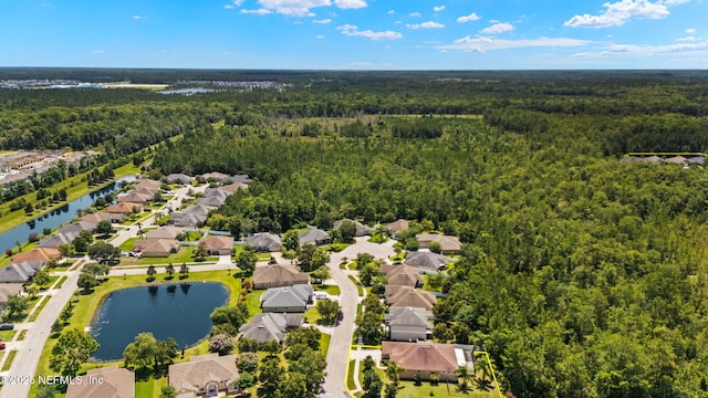 100 Cummer Way, Saint Augustine, FL 32095 - aerial view of residential area with a forest and a nearby body of water