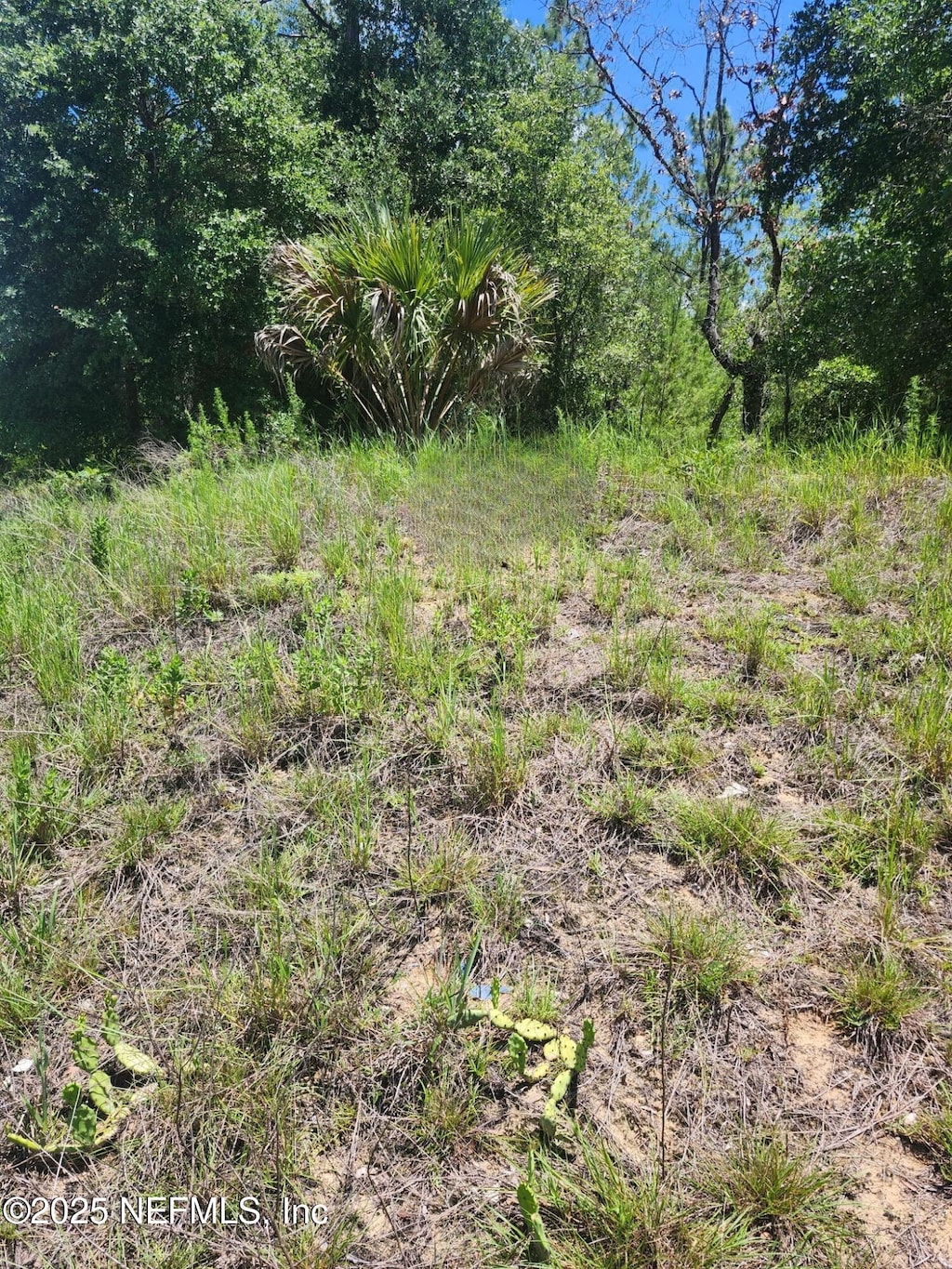 0 Keuka Rd, Interlachen, FL 32148 - photo 3