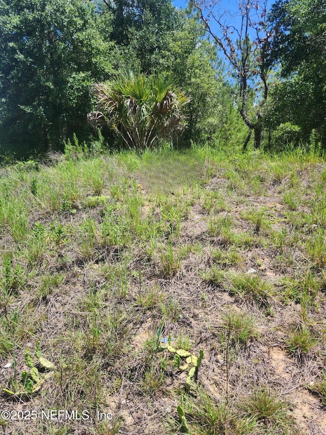 0 Keuka Rd, Interlachen, FL 32148 - photo 3