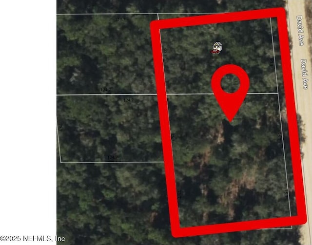 0 David Ave, Interlachen, FL 32148