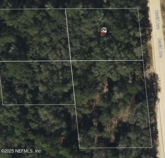 0 David Ave, Interlachen, FL 32148