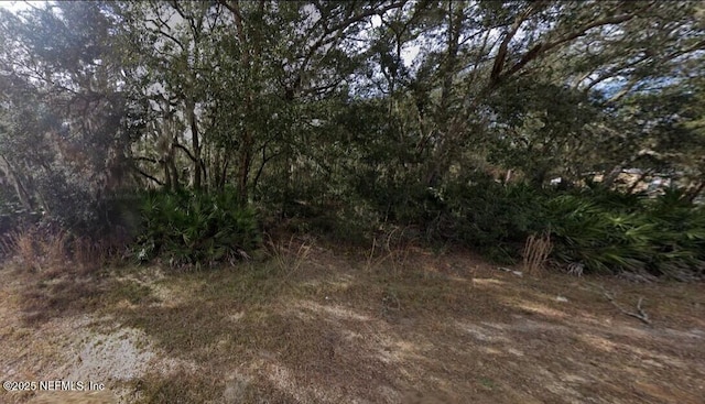 0 David Ave, Interlachen, FL 32148