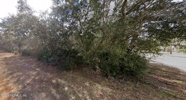 0 David Ave, Interlachen, FL 32148