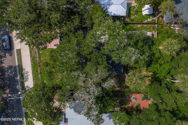 165 Sherry Dr, Atlantic Beach, FL 32233 - aerial view