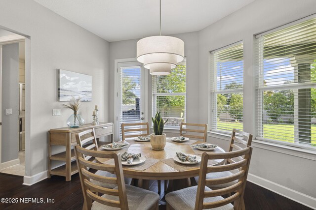 168 Bronson Pkwy, Saint Augustine, FL 32095 - dining area with plenty of natural light and dark wood finished floors