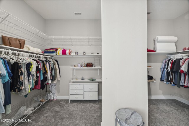 168 Bronson Pkwy, Saint Augustine, FL 32095 - spacious closet featuring carpet flooring