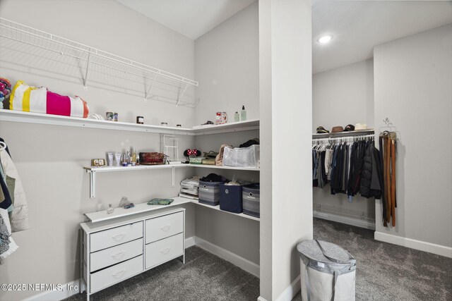 168 Bronson Pkwy, Saint Augustine, FL 32095 - spacious closet featuring dark colored carpet