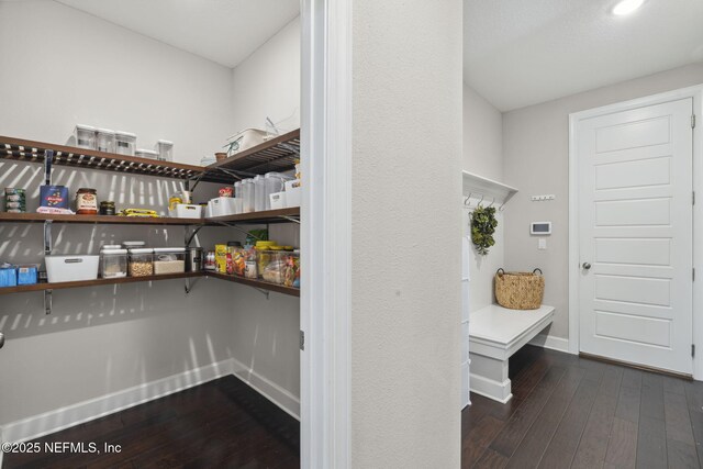 168 Bronson Pkwy, Saint Augustine, FL 32095 - view of pantry