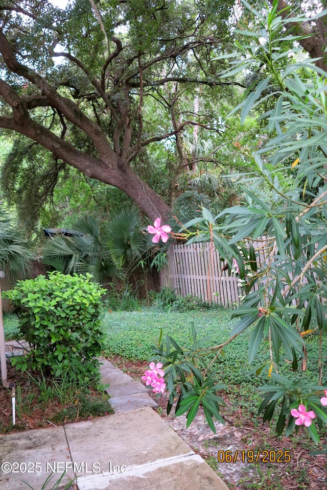 3801 Crown Point Rd Unit 1332, Jacksonville, FL 32257 - view of yard